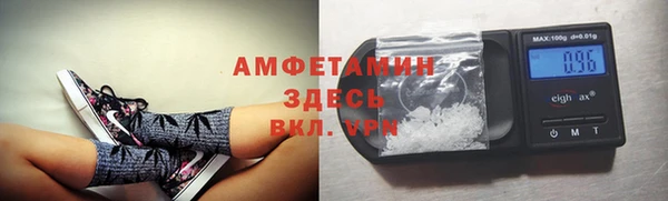 Альфа ПВП Вяземский